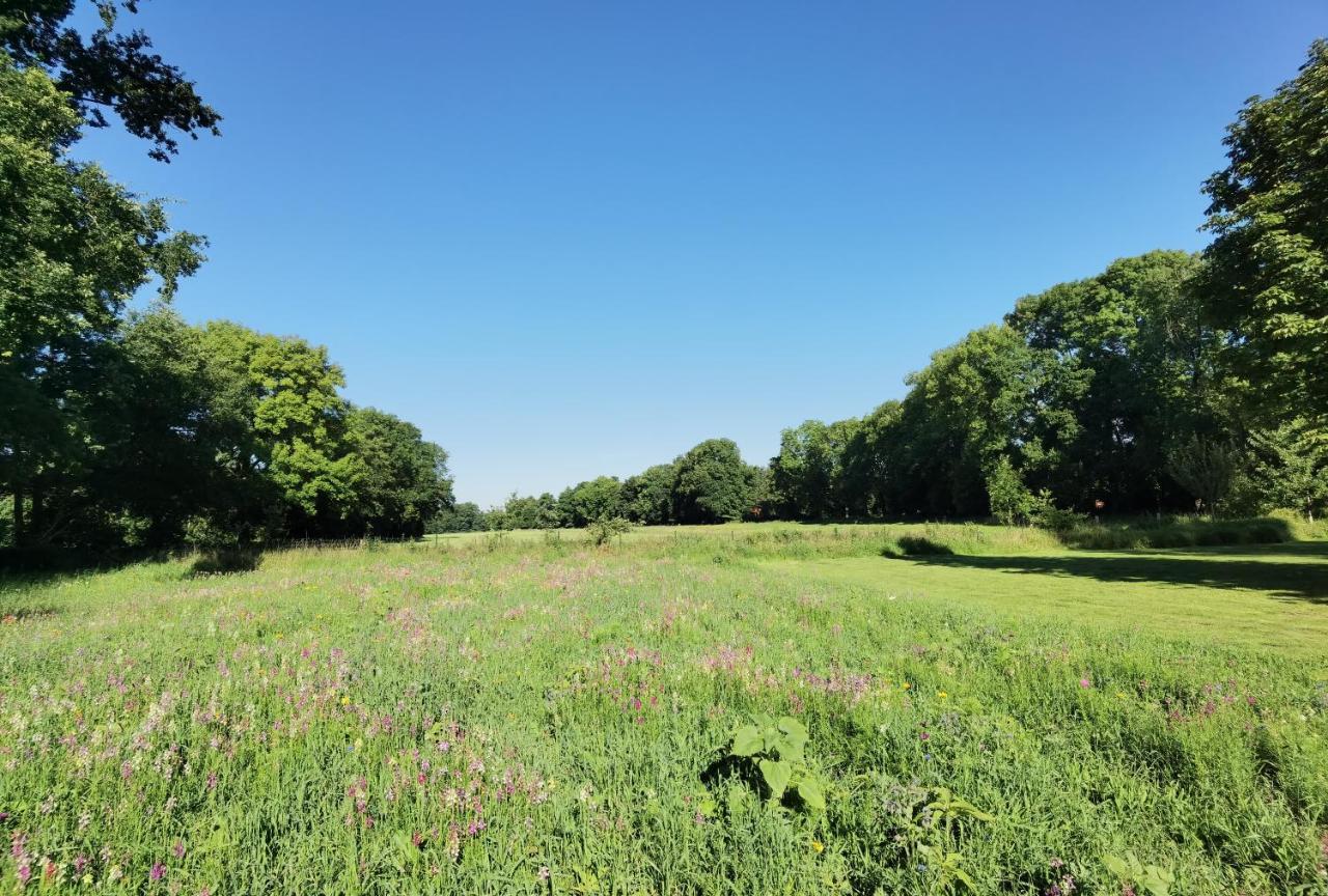 Haus Donata Villa Fischerhude Kültér fotó